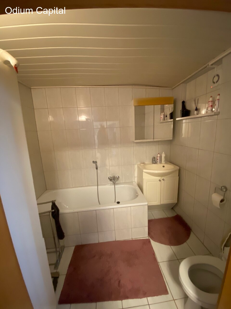 Dossenheim- zwei Häuser, ein Preis, 100 Möglichkeiten