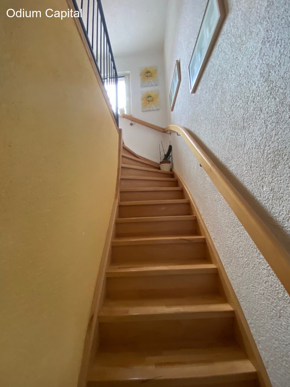 Dossenheim- zwei Häuser, ein Preis, 100 Möglichkeiten