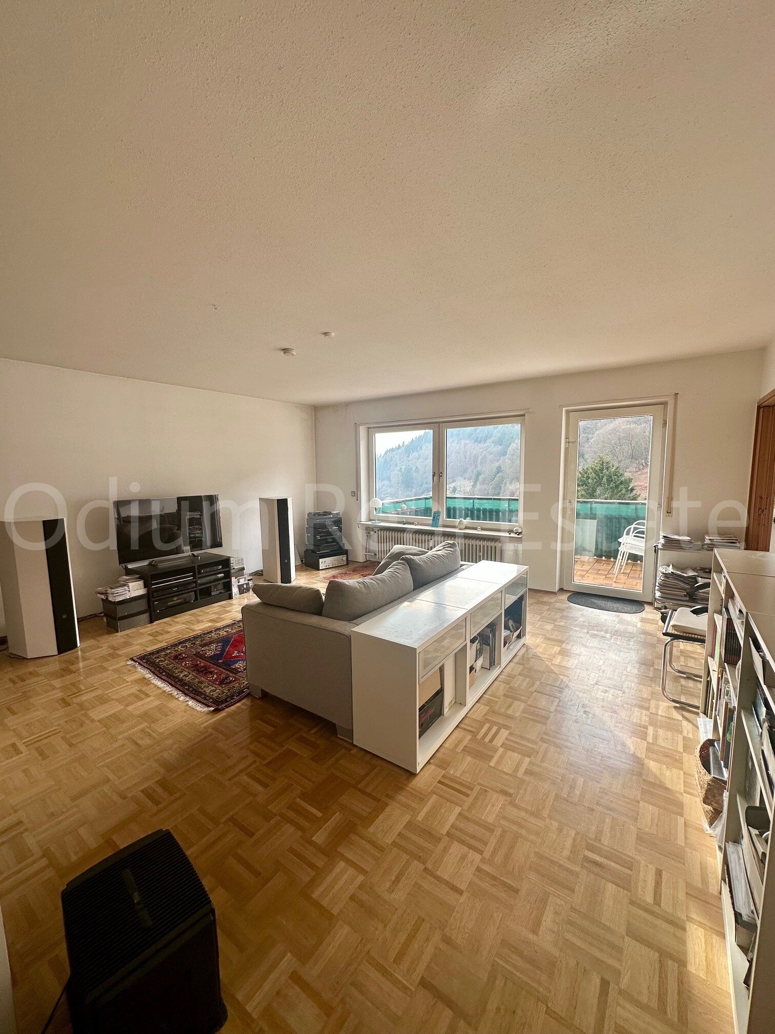 Geräumige Wohnung in idyllischer Lage Heidelbergs