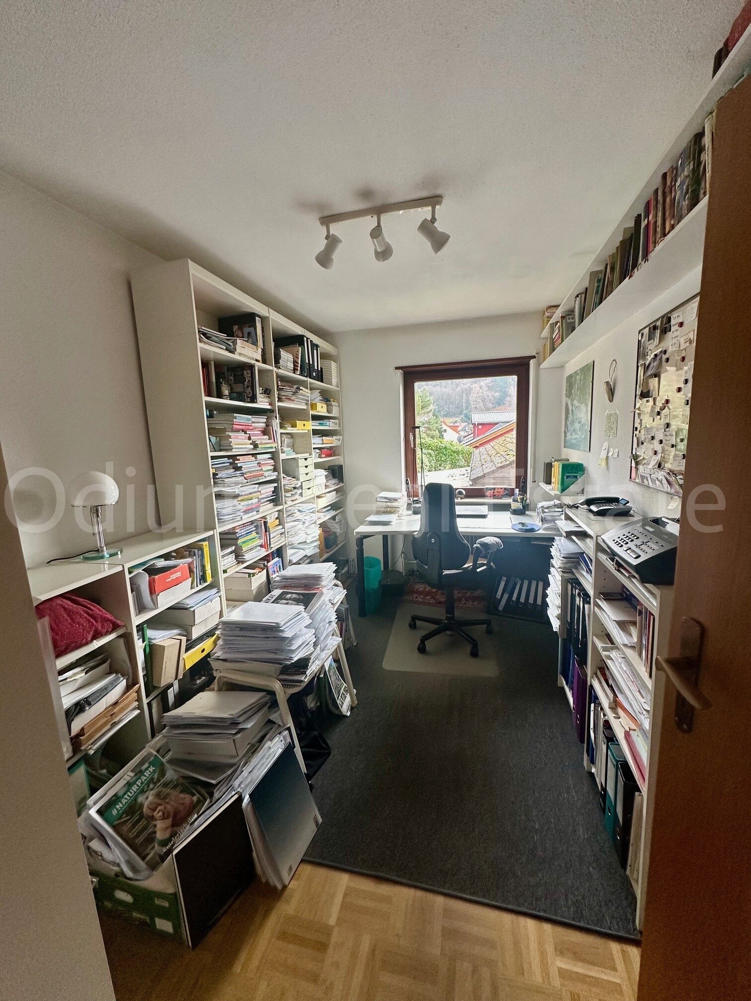 Geräumige Wohnung in idyllischer Lage Heidelbergs